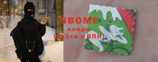 гашик Новозыбков