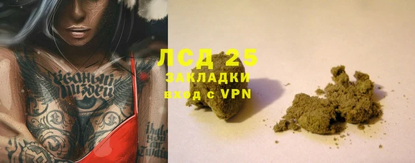 ГАЛЛЮЦИНОГЕННЫЕ ГРИБЫ Нея