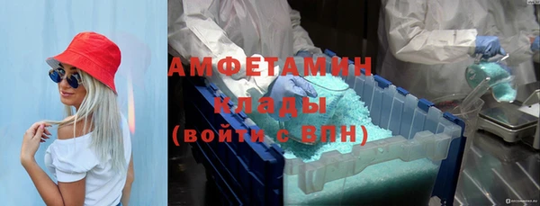 гашик Новозыбков