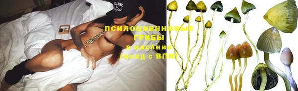 гашик Наволоки