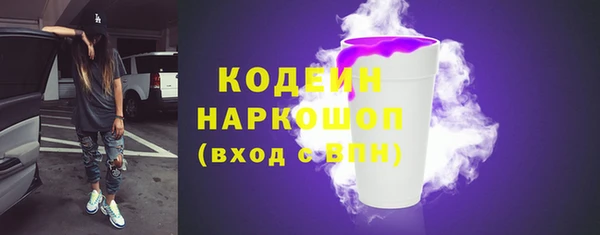 гашик Новозыбков
