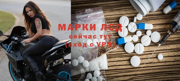гашик Новозыбков