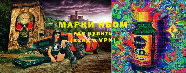 гашик Новозыбков