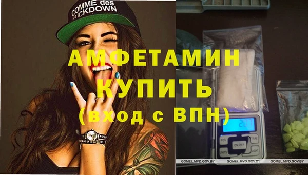 гашик Новозыбков