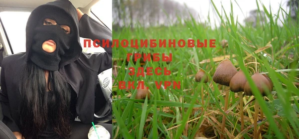 ГАЛЛЮЦИНОГЕННЫЕ ГРИБЫ Волосово