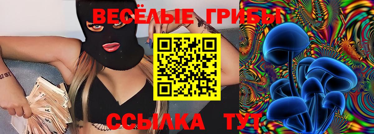 Псилоцибиновые грибы мицелий Полысаево